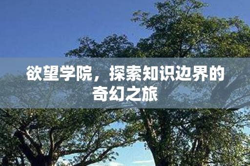 欲望学院,探索知识边界的奇幻之旅 欲望学院,探索知识边界的奇幻之旅