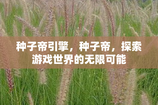 种子帝引擎,种子帝,探索游戏世界的无限可能 种子帝引擎,种子帝,探索游戏世界的无限可能
