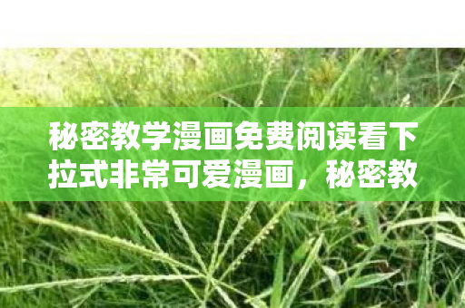 秘密教学漫画免费阅读看下拉式非常可爱漫画，秘密教学漫画，探索漫画创作的艺术世界
