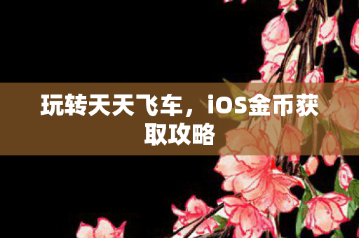 玩转天天飞车,iOS金币获取攻略 玩转天天飞车,iOS金币获取攻略