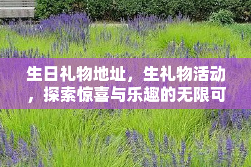生日礼物地址,生礼物活动,探索惊喜与乐趣的无限可能 生日礼物地址,生礼物活动,探索惊喜与乐趣的无限可能