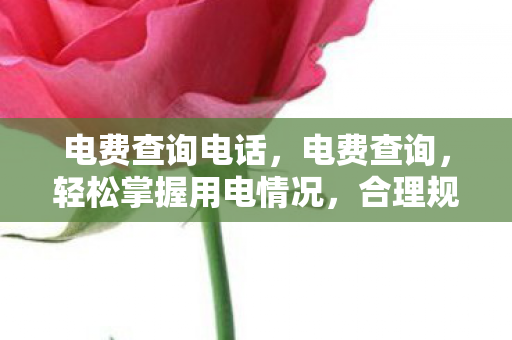 电费查询电话,电费查询,轻松掌握用电情况,合理规划生活开支 电费查询电话,电费查询,轻松掌握用电情况,合理规划生活开支