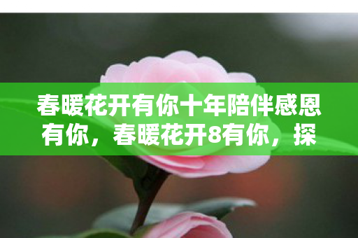 春暖花开有你十年陪伴感恩有你，春暖花开8有你，探索游戏世界的无限可能