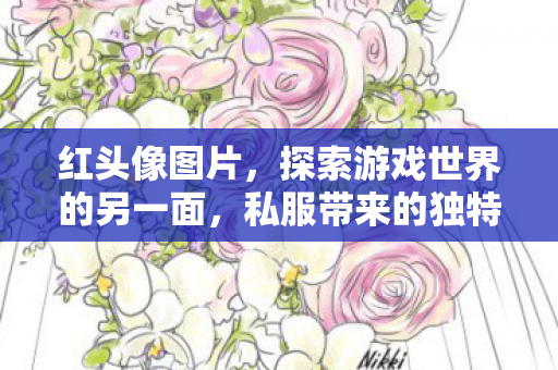 红头像图片，探索游戏世界的另一面，私服带来的独特体验与机遇