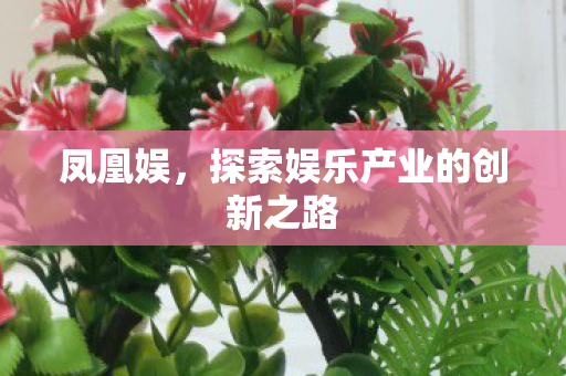凤凰娱，探索娱乐产业的创新之路