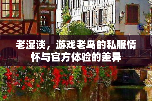 老湿谈,游戏老鸟的私服情怀与官方体验的差异 老湿谈,游戏老鸟的私服情怀与官方体验的差异