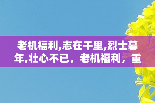 老机福利,志在千里,烈士暮年,壮心不已,老机福利,重温经典,感受复古游戏的魅力 老机福利,志在千里,烈士暮年,壮心不已,老机福利,重温经典,感受复古游戏的魅力