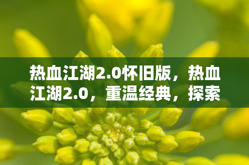 热血江湖2.0怀旧版,热血江湖2.0,重温经典,探索未知的新世界 热血江湖2.0怀旧版,热血江湖2.0,重温经典,探索未知的新世界