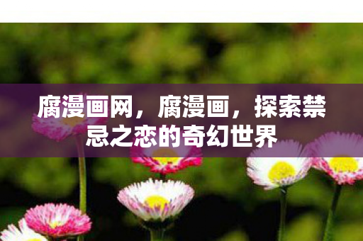 腐漫画网，腐漫画，探索禁忌之恋的奇幻世界