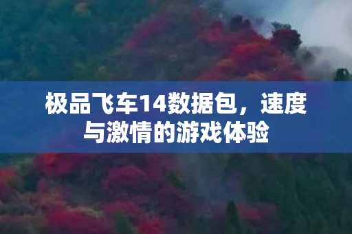极品飞车14数据包,速度与激情的游戏体验 极品飞车14数据包,速度与激情的游戏体验