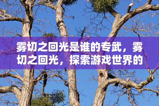 雾切之回光是谁的专武,雾切之回光,探索游戏世界的独特魅力 雾切之回光是谁的专武,雾切之回光,探索游戏世界的独特魅力