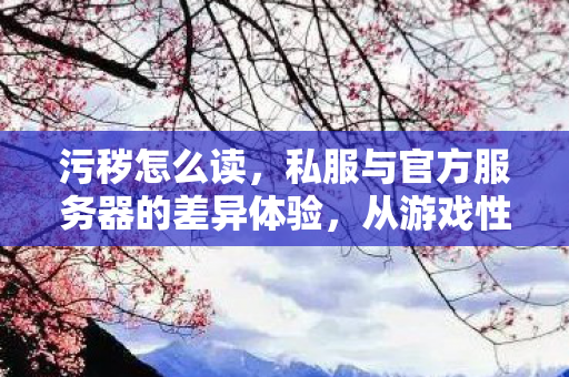 污秽怎么读,私服与官方服务器的差异体验,从游戏性到稳定性的全面剖析 污秽怎么读,私服与官方服务器的差异体验,从游戏性到稳定性的全面剖析