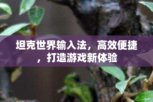 坦克世界输入法，高效便捷，打造游戏新体验