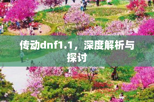 传动dnf1.1,深度解析与探讨 传动dnf1.1,深度解析与探讨