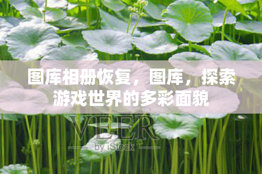 图库相册恢复,图库,探索游戏世界的多彩面貌 图库相册恢复,图库,探索游戏世界的多彩面貌