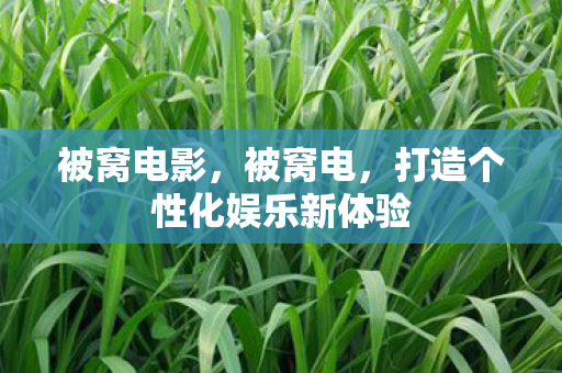 被窝电影，被窝电，打造个性化娱乐新体验