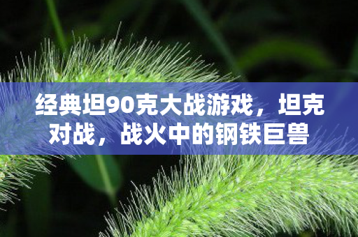 经典坦90克大战游戏,坦克对战,战火中的钢铁巨兽 经典坦90克大战游戏,坦克对战,战火中的钢铁巨兽
