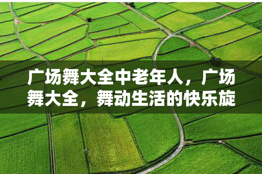 广场舞大全中老年人，广场舞大全，舞动生活的快乐旋律