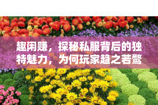 趣闲赚，探秘私服背后的独特魅力，为何玩家趋之若鹜？