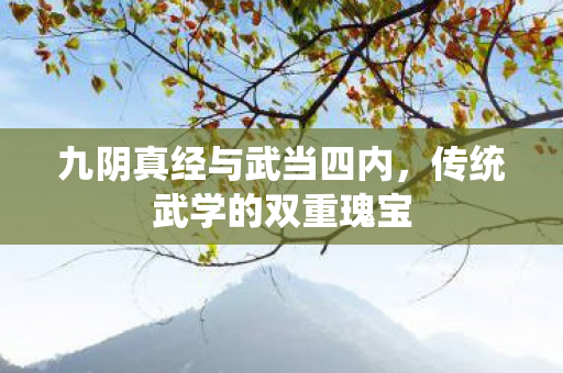 九阴真经与武当四内,传统武学的双重瑰宝 九阴真经与武当四内,传统武学的双重瑰宝