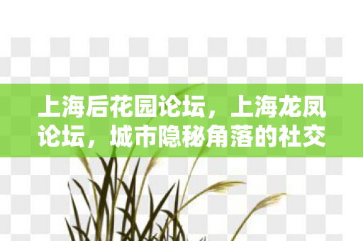 上海后花园论坛，上海龙凤论坛，城市隐秘角落的社交舞台