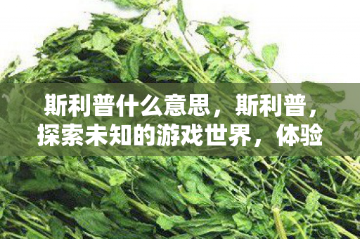 斯利普什么意思,斯利普,探索未知的游戏世界,体验不一样的冒险旅程 斯利普什么意思,斯利普,探索未知的游戏世界,体验不一样的冒险旅程