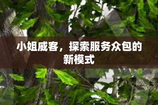 小姐威客,探索服务众包的新模式 小姐威客,探索服务众包的新模式
