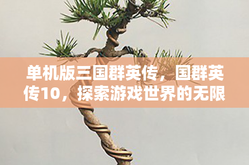 单机版三国群英传,国群英传10,探索游戏世界的无限可能 单机版三国群英传,国群英传10,探索游戏世界的无限可能