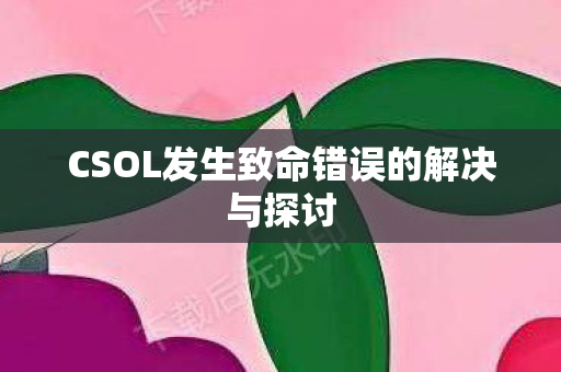 CSOL发生致命错误的解决与探讨 CSOL发生致命错误的解决与探讨