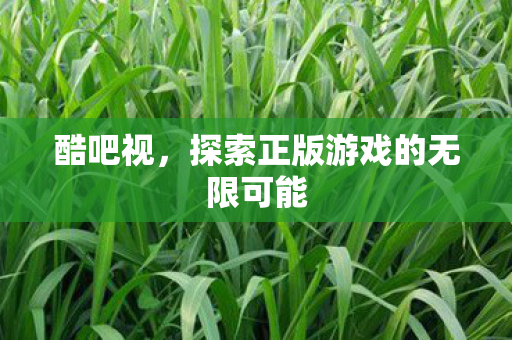 酷吧视，探索正版游戏的无限可能