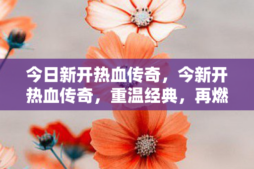 今日新开热血传奇，今新开热血传奇，重温经典，再燃激情