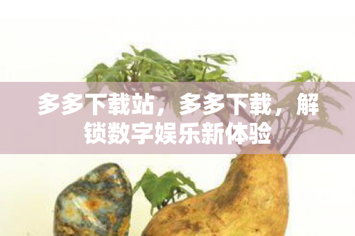 多多下载站,多多下载,解锁数字娱乐新体验 多多下载站,多多下载,解锁数字娱乐新体验