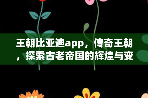 王朝比亚迪app，传奇王朝，探索古老帝国的辉煌与变迁