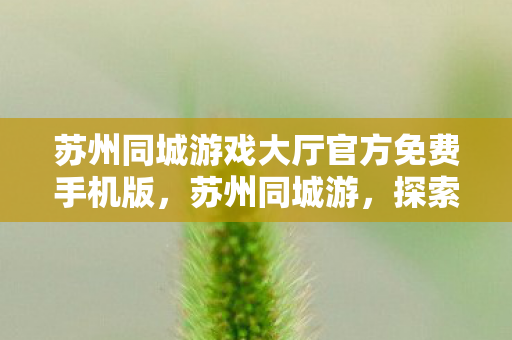 苏州同城游戏大厅官方免费手机版,苏州同城游,探索古典园林与现代生活的完美融合 苏州同城游戏大厅官方免费手机版,苏州同城游,探索古典园林与现代生活的完美融合