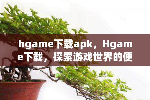 hgame下载apk,Hgame下载,探索游戏世界的便捷途径 hgame下载apk,Hgame下载,探索游戏世界的便捷途径