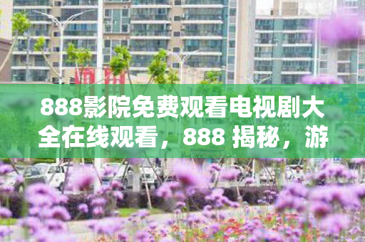 888影院免费观看电视剧大全在线观看,888 揭秘,游戏私服的魅力与风险并存 888影院免费观看电视剧大全在线观看,888 揭秘,游戏私服的魅力与风险并存