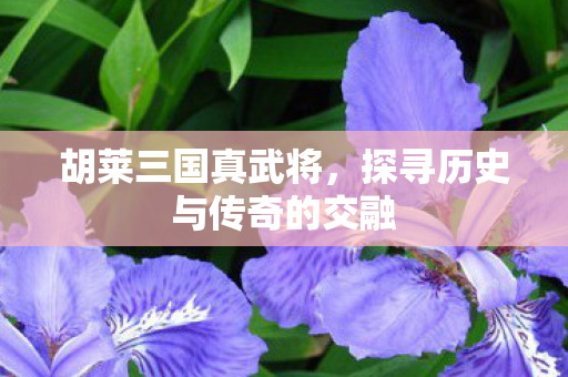 胡莱三国真武将,探寻历史与传奇的交融 胡莱三国真武将,探寻历史与传奇的交融