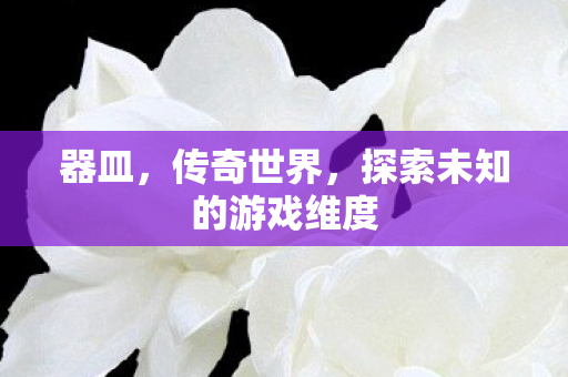 器皿,传奇世界,探索未知的游戏维度 器皿,传奇世界,探索未知的游戏维度