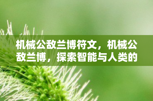 机械公敌兰博符文,机械公敌兰博,探索智能与人类的边界 机械公敌兰博符文,机械公敌兰博,探索智能与人类的边界