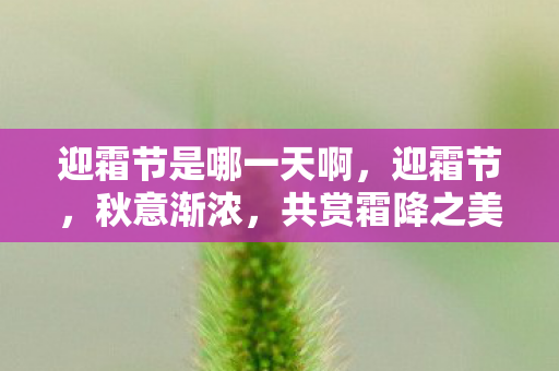 迎霜节是哪一天啊,迎霜节,秋意渐浓,共赏霜降之美 迎霜节是哪一天啊,迎霜节,秋意渐浓,共赏霜降之美