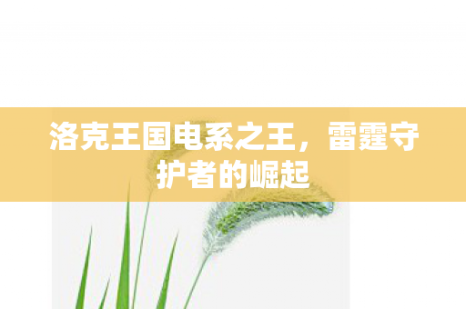 洛克王国电系之王,雷霆守护者的崛起 洛克王国电系之王,雷霆守护者的崛起