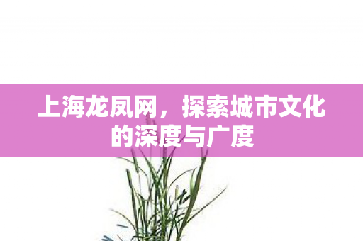 上海龙凤网,探索城市文化的深度与广度 上海龙凤网,探索城市文化的深度与广度