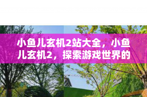 小鱼儿玄机2站大全，小鱼儿玄机2，探索游戏世界的无限可能