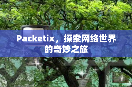 Packetix，探索网络世界的奇妙之旅