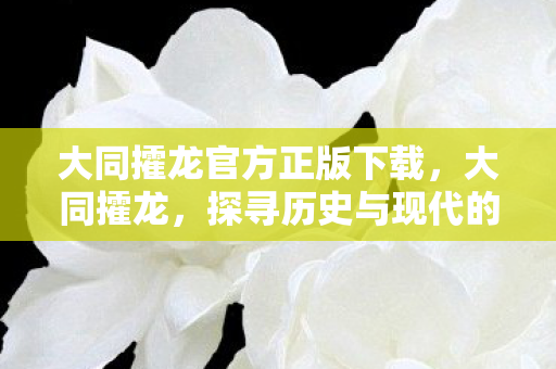 大同攉龙官方正版下载，大同攉龙，探寻历史与现代的交融之美
