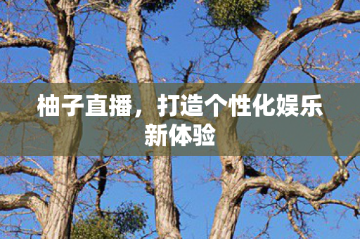 柚子直播,打造个性化娱乐新体验 柚子直播,打造个性化娱乐新体验