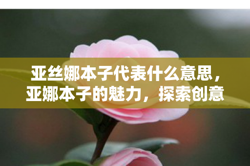 亚丝娜本子代表什么意思，亚娜本子的魅力，探索创意与自由的边界