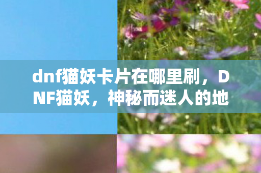 dnf猫妖卡片在哪里刷，DNF猫妖，神秘而迷人的地下城生物