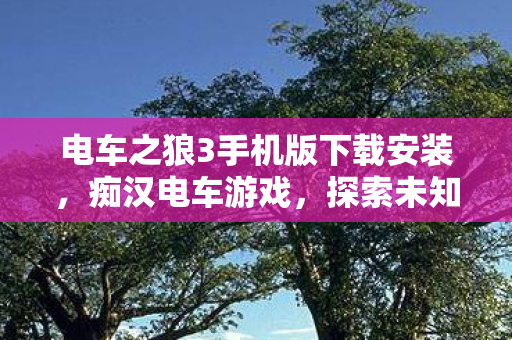 电车之狼3手机版下载安装，痴汉电车游戏，探索未知世界的奇妙之旅