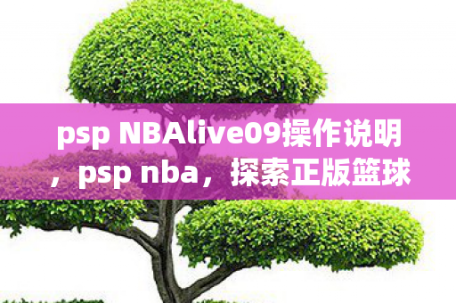 psp NBAlive09操作说明,psp nba,探索正版篮球游戏的魅力 psp NBAlive09操作说明,psp nba,探索正版篮球游戏的魅力